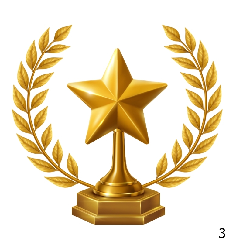 AAYA Company of the Year Award – 3rd Position, 2016